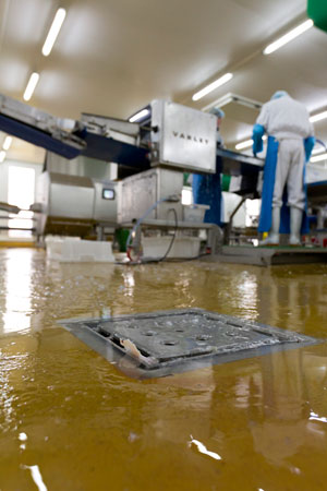 2011_040_015_web.jpg