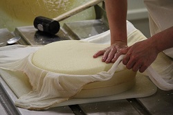 AdobeStock_68487319_Fromage.jpeg