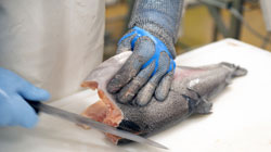 RP044_CouteauPoisson_250.jpg