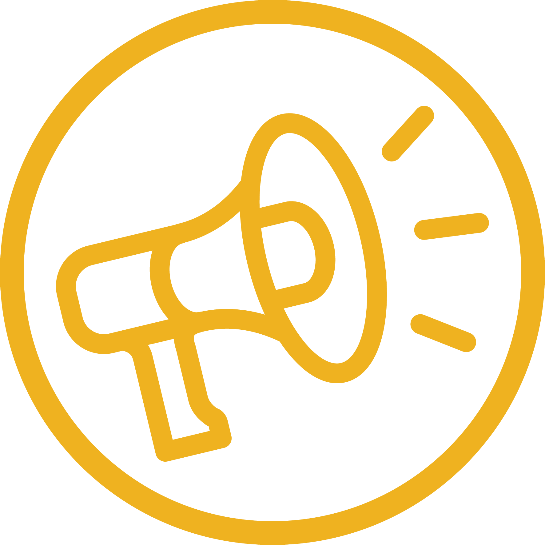 speaker Icon